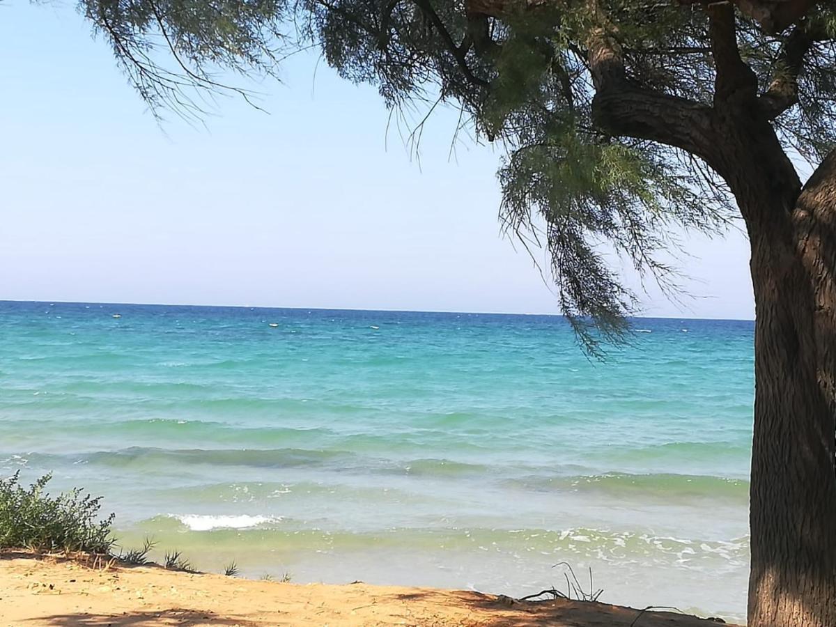 Lendinuso Tra Vento E Mare 아파트 외부 사진